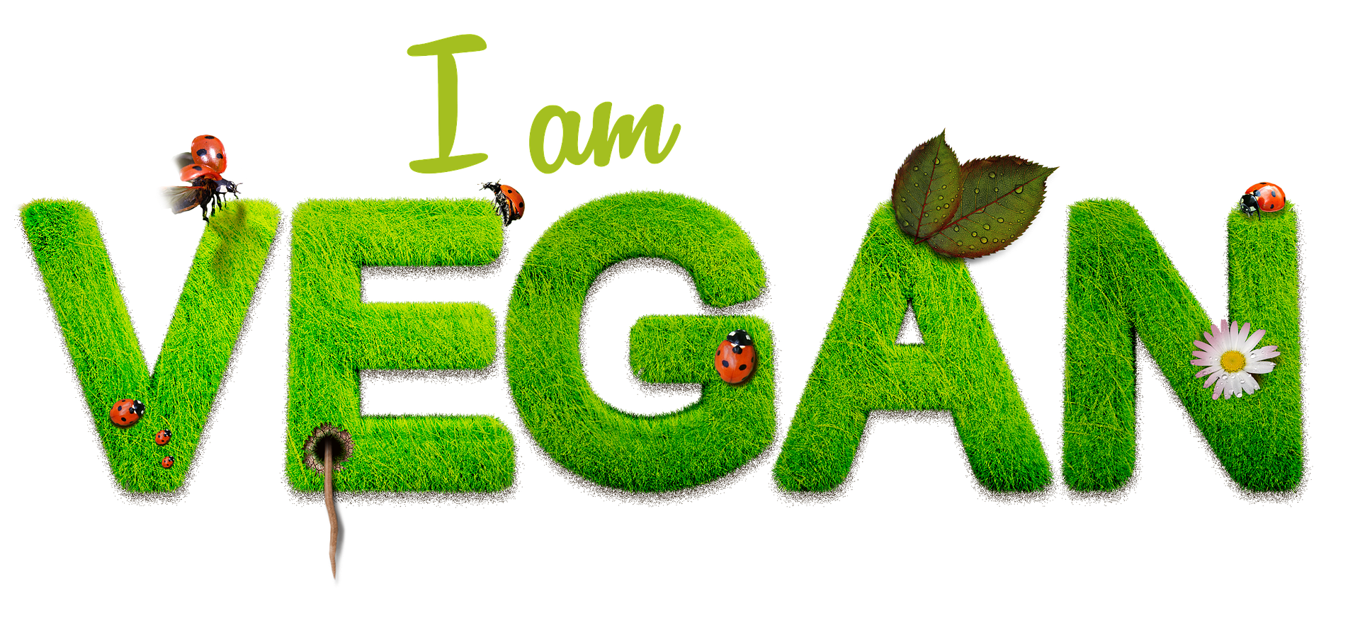 Was an veganem Strom so öko ist...